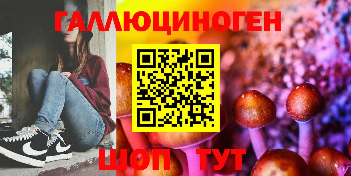Псилоцибиновые грибы GOLDEN TEACHER  Вход с VPN  Касимов 
